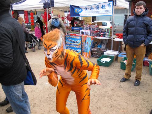 the celebrating the new year of the tiger in dublin