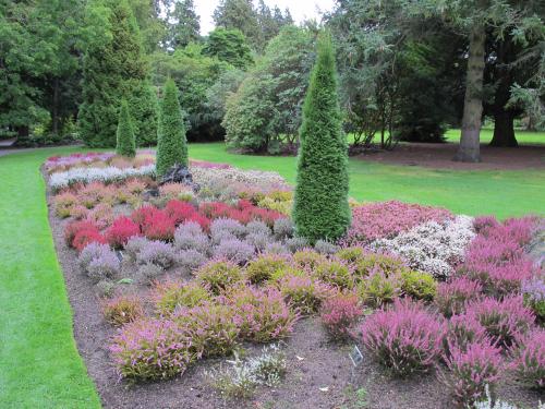 Botanic Gardens in Dublin